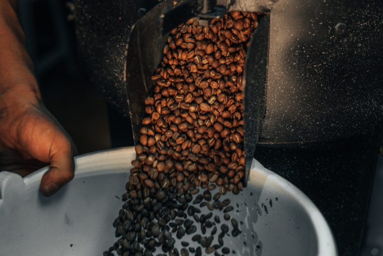 Unveiling Guatemala's Coffee Terroir: Single Origin Delights
