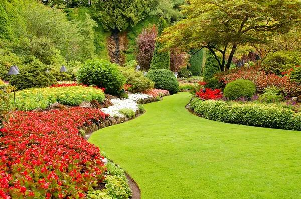 PVC Irrigation Pipes: Simplifying Your Watering Needs